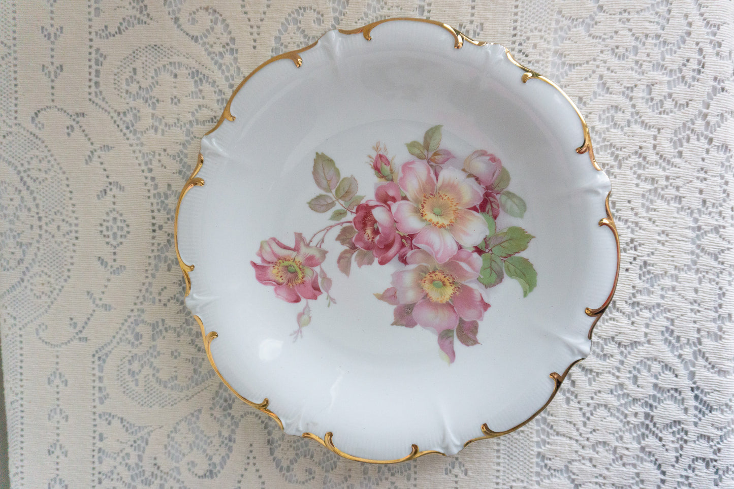 Bavaria Schumann Arzberg Wild Rose Victorian Plate