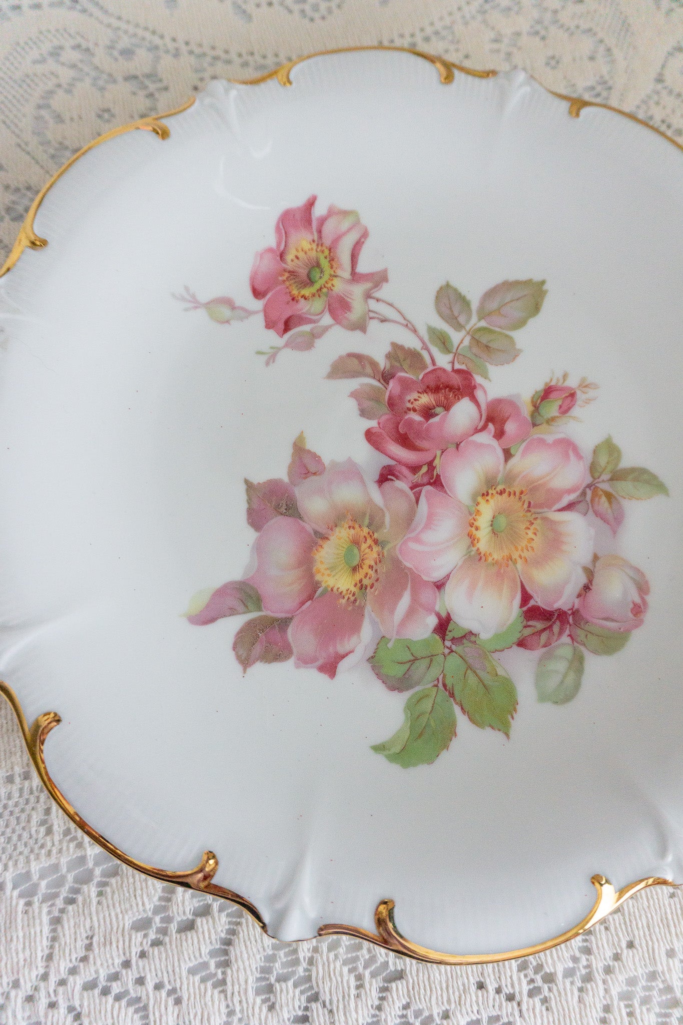 Bavaria Schumann Arzberg Wild Rose Victorian Plate