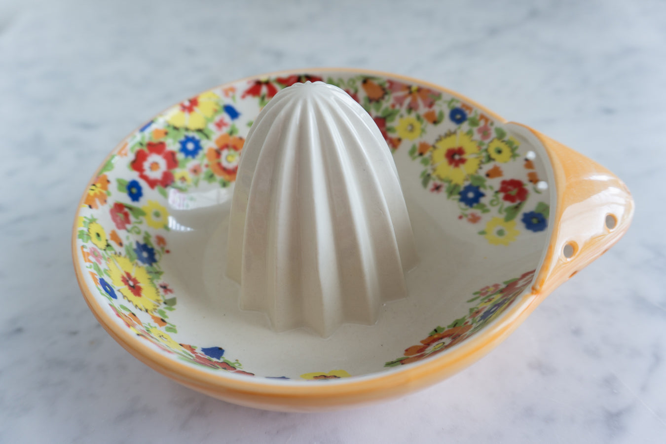 Sarah Campbell x Anthropologie Hand-Painted Spring Floral Orange Juicer
