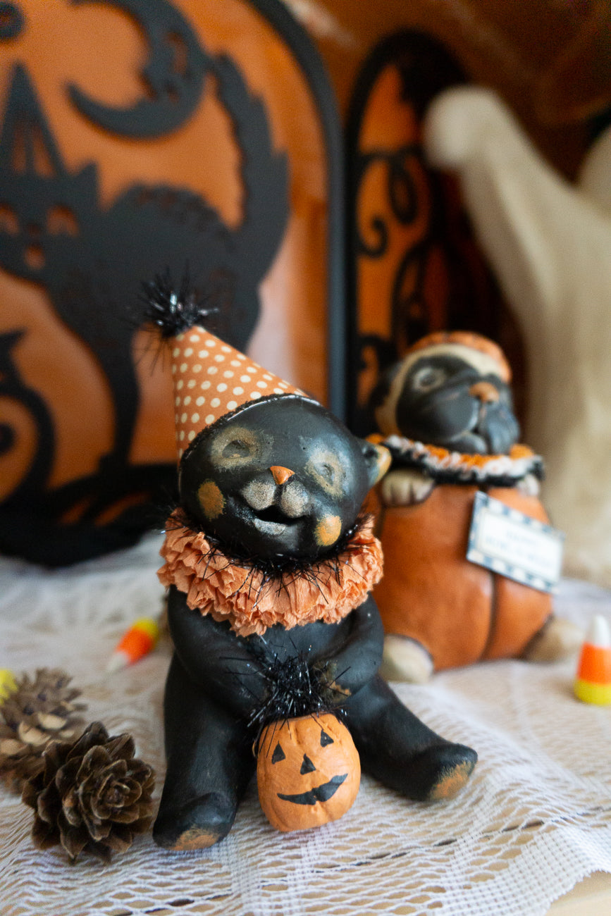 Binx Halloween Party Cat
