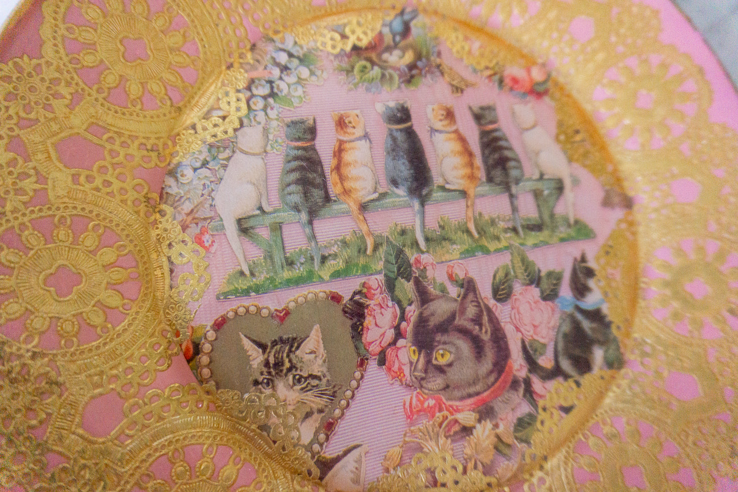 Pink Cat Plate