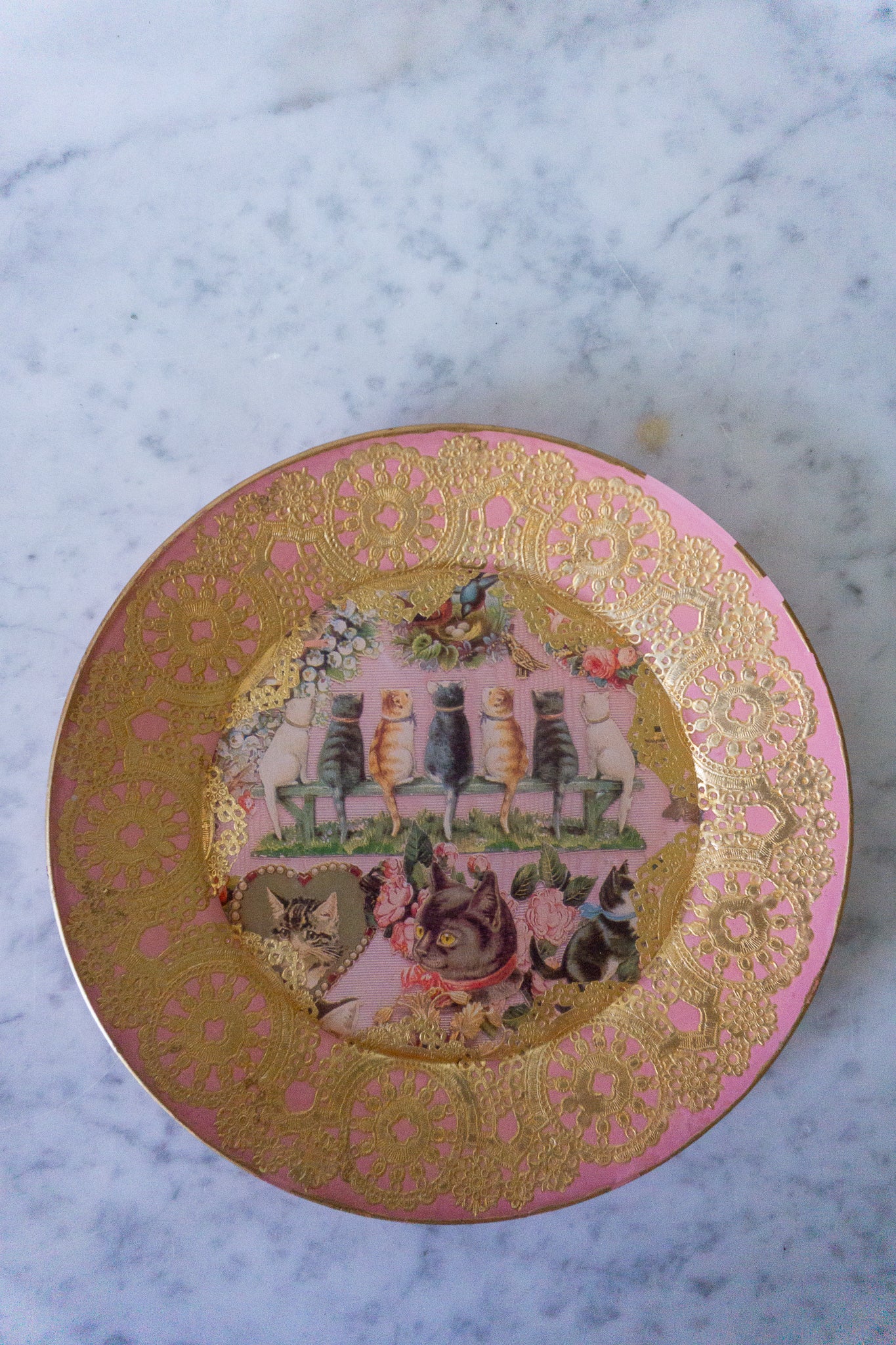 Pink Cat Plate