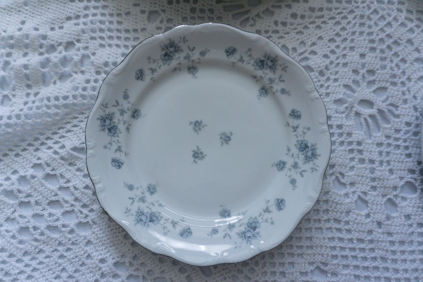 Blue & White Plate Collection