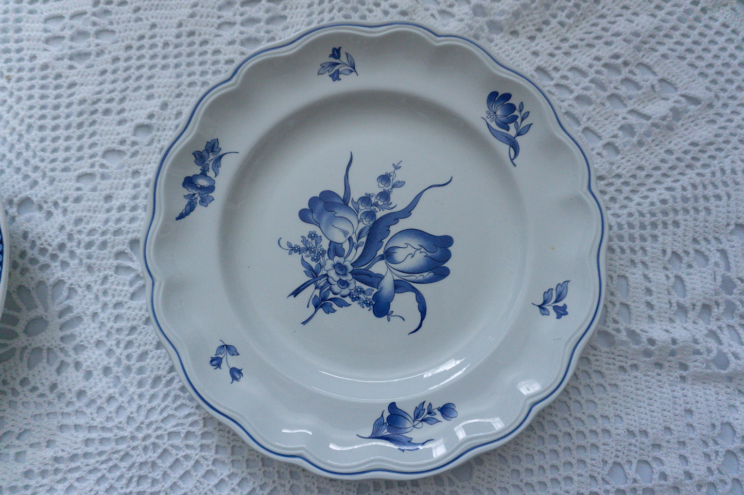 Blue & White Plate Collection