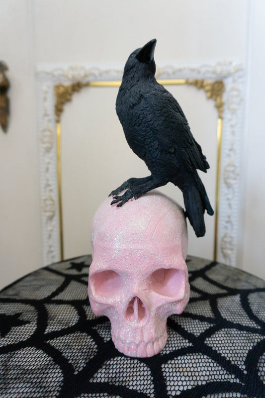 Black Raven on Pink Skull