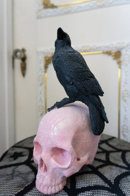 Black Raven on Pink Skull