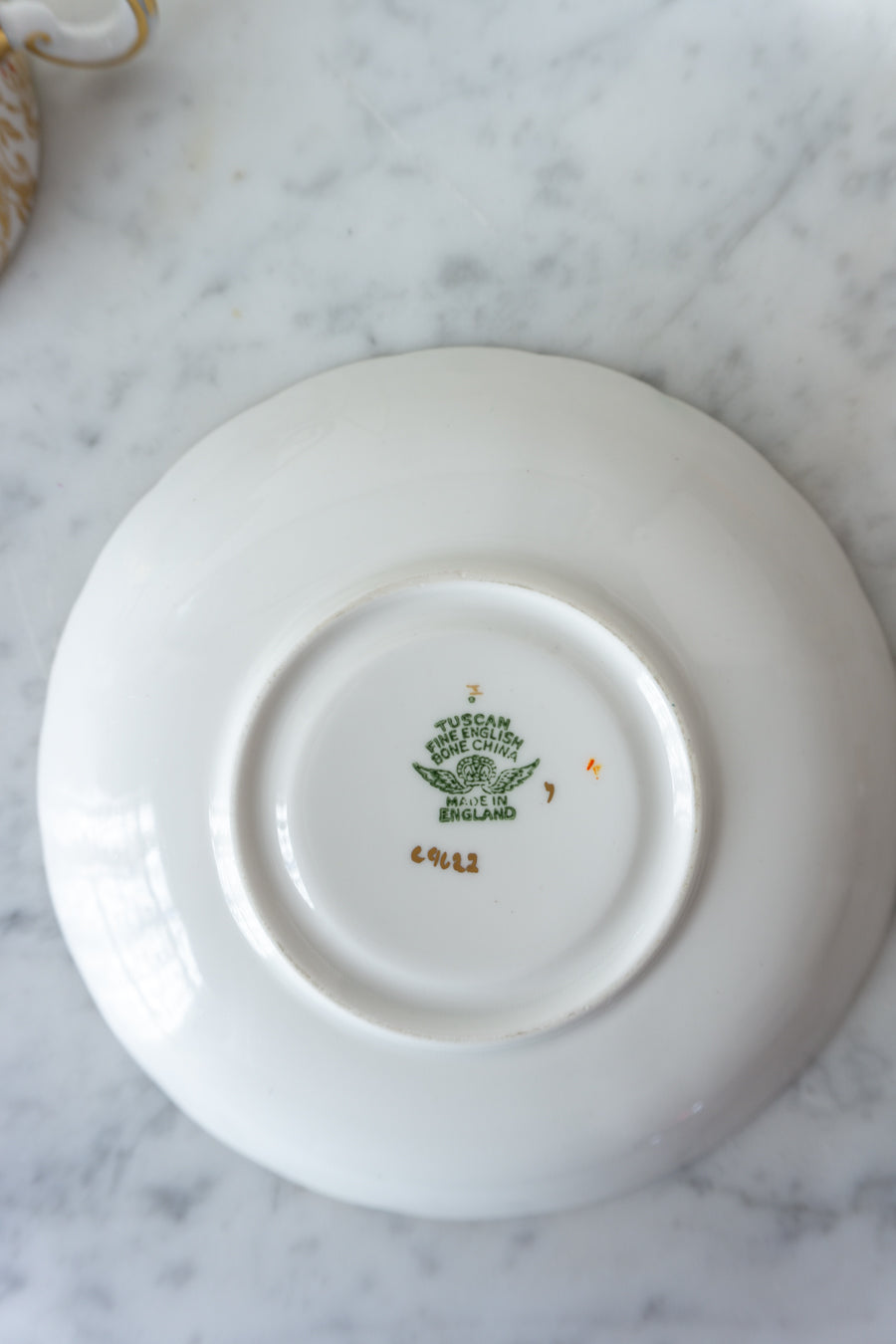 Mint Green Tuscan Fine Bone China Teacup and Saucer