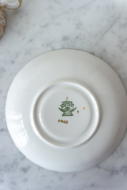 Mint Green Tuscan Fine Bone China Teacup and Saucer